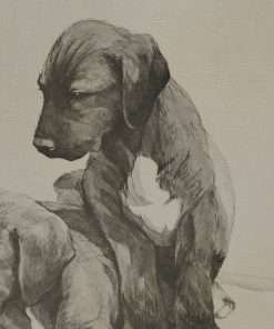 Limited Edition Print Wolfhound Puppies Close 2