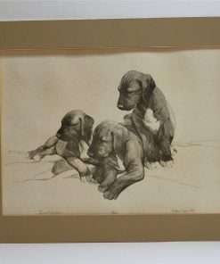 Limited Edition Print Wolfhound Puppies
