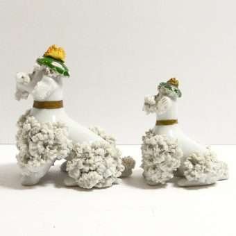 Spaghetti Poodle Dog Pair 1