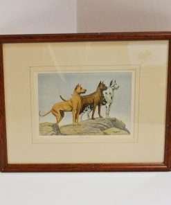 Antique Framed Art Print Great Dane Dogs