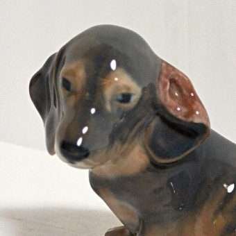 Royal Copenhagen Dachshund close