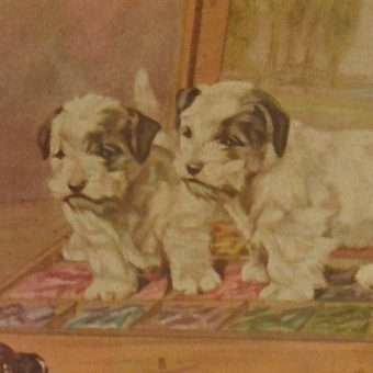 Vintage Print Sealyham and Pekingese on Artist's Pastels Box 1