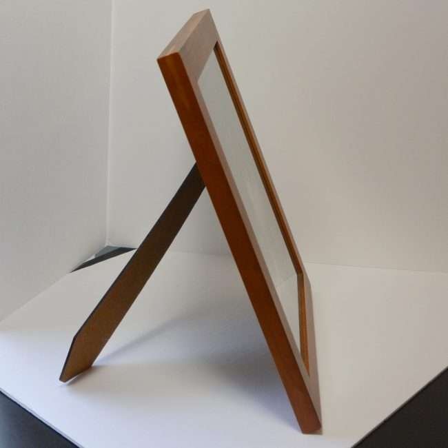 Vintage French Bulldogs Original Photo side 1