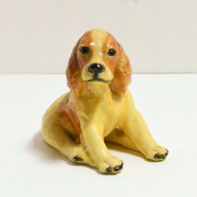 mortens-studio-cocker-spaniel-dog