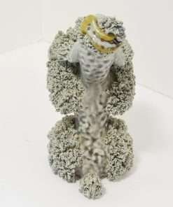 Vintage Spaghetti Poodle