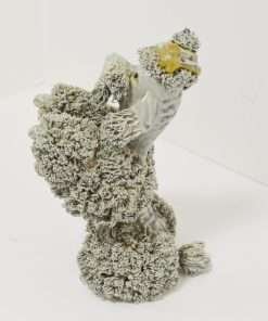 Vintage Spaghetti Poodle