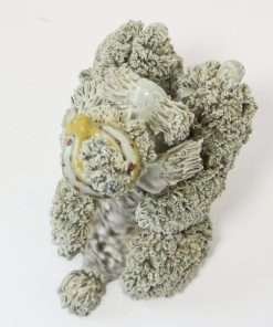 poodles collectibles