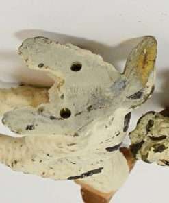 Cold-Painted Bronze Fox Terrier mark