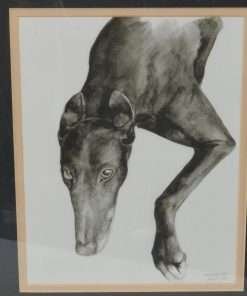 Greyhound/Whippet Art Limited Edition Signed