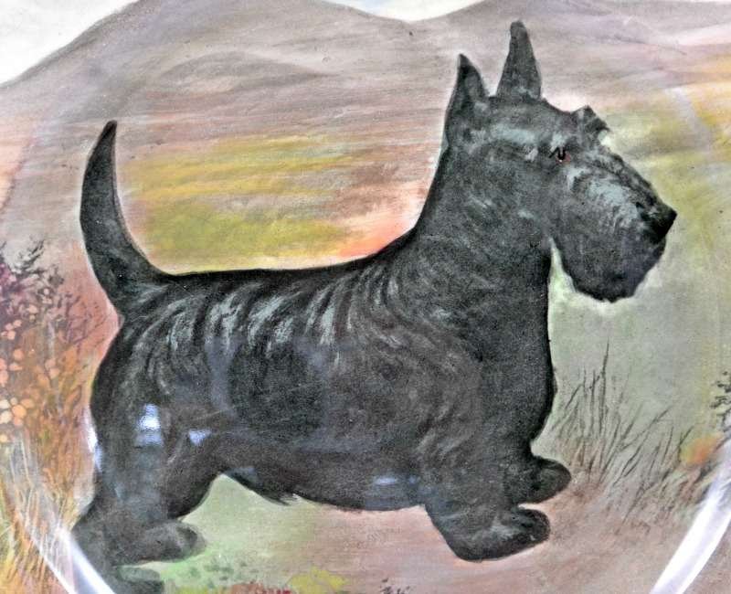 Royal Doulton Scottie Dog Collector's Plate KIT-2113C