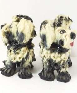 Spaghetti Dogs Front