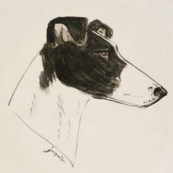 Fox Terrier Plate
