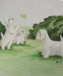 Maltese Dogs Hand-painted Dish 4