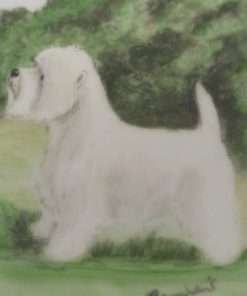 Maltese Dogs Hand-painted Dish 2