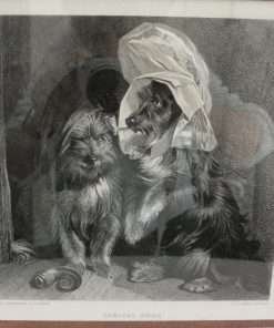 Edwin Landseer Antique Steel Engraving "Comical Dogs"