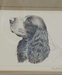 Vintage Springer Spaniel Etching Signature Close