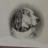 Edwin Landseer Antique Steel Engraving "The Bloodhound"