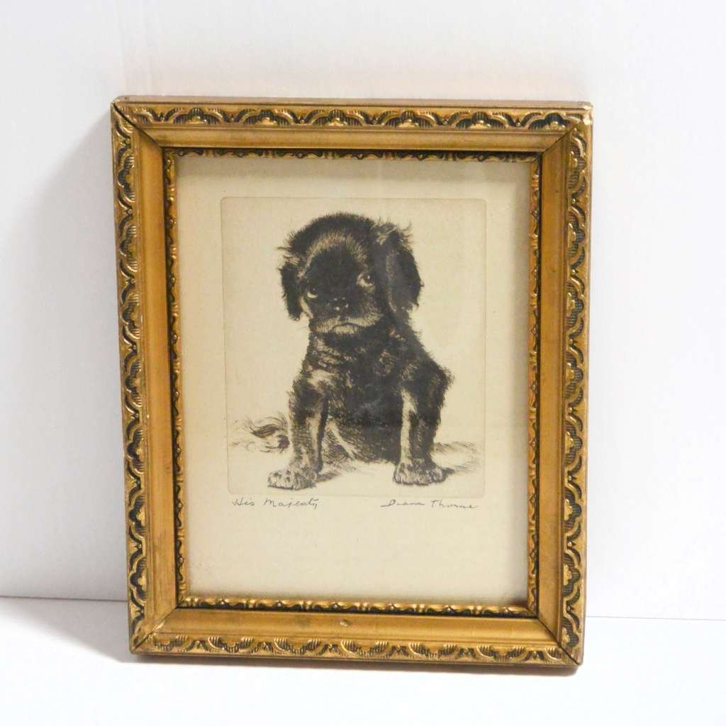 Diana Thorne Original Vintage Print "His Majesty" Cavalier King Charles Spaniel c.1936