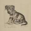 Diana Thorne Original Vintage Print "The Age of Innocence" German Shepherd Puppy c.1936