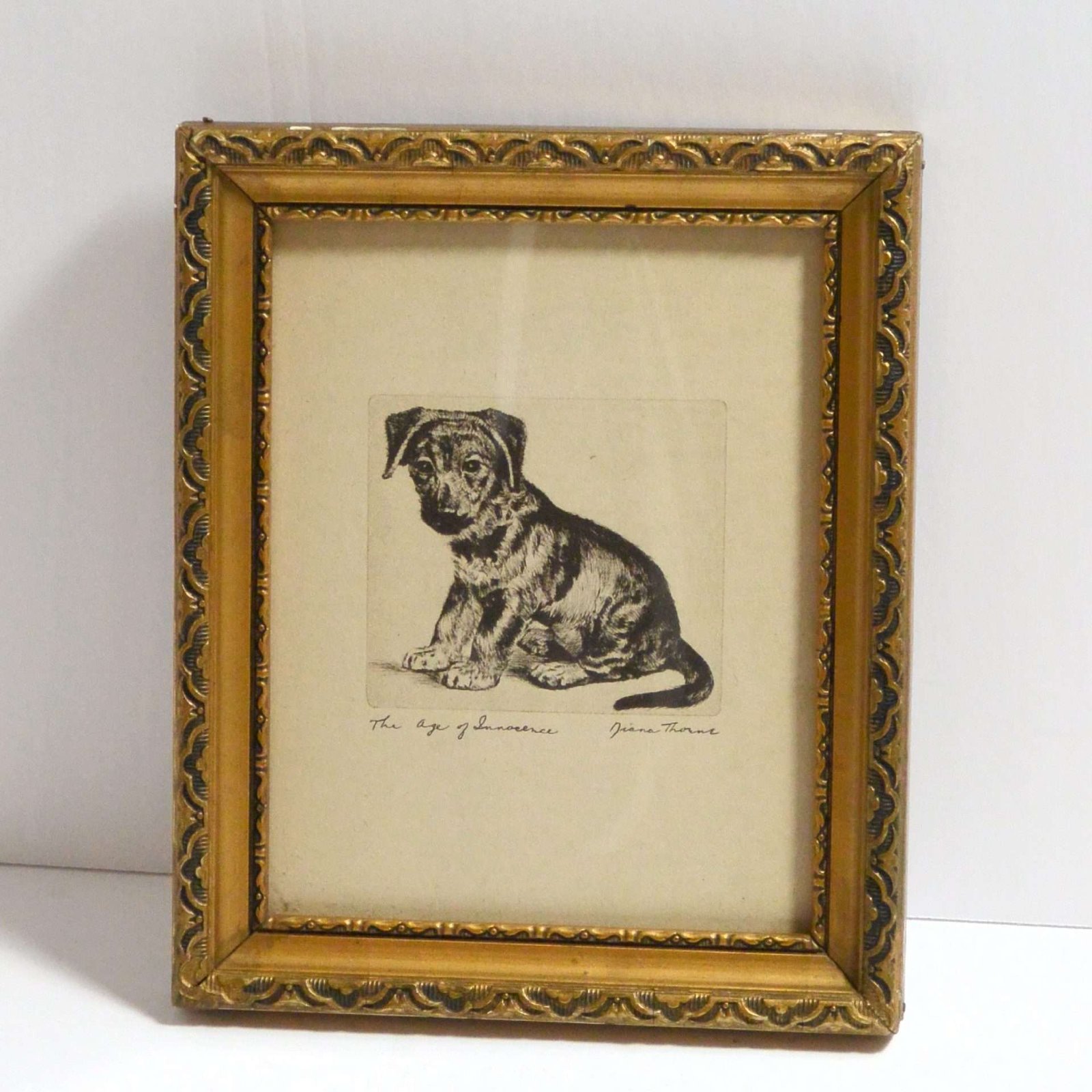 Diana Thorne Original Vintage Print "The Age of Innocence" German Shepherd Puppy c.1936 - Image 2