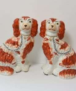 King Charles Cavalier Staffordshire