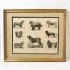 Antique French Print of Eight Dogs c.1890