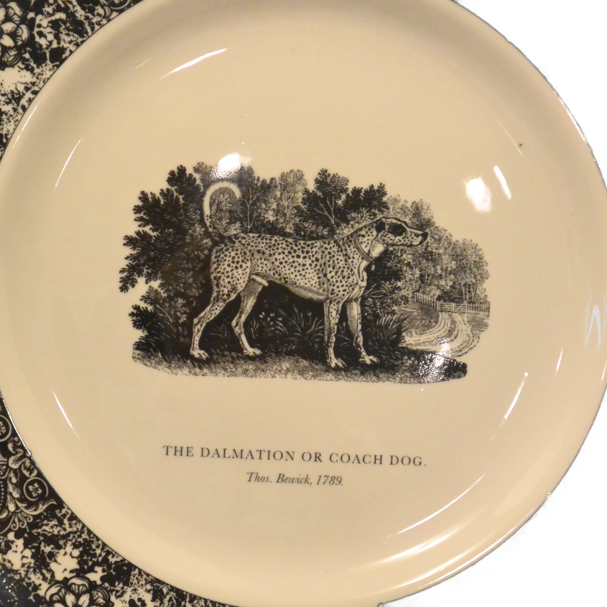 Set of 5 Prinknash Abbey "Bewick's Houndes" Dog Plates - Image 3
