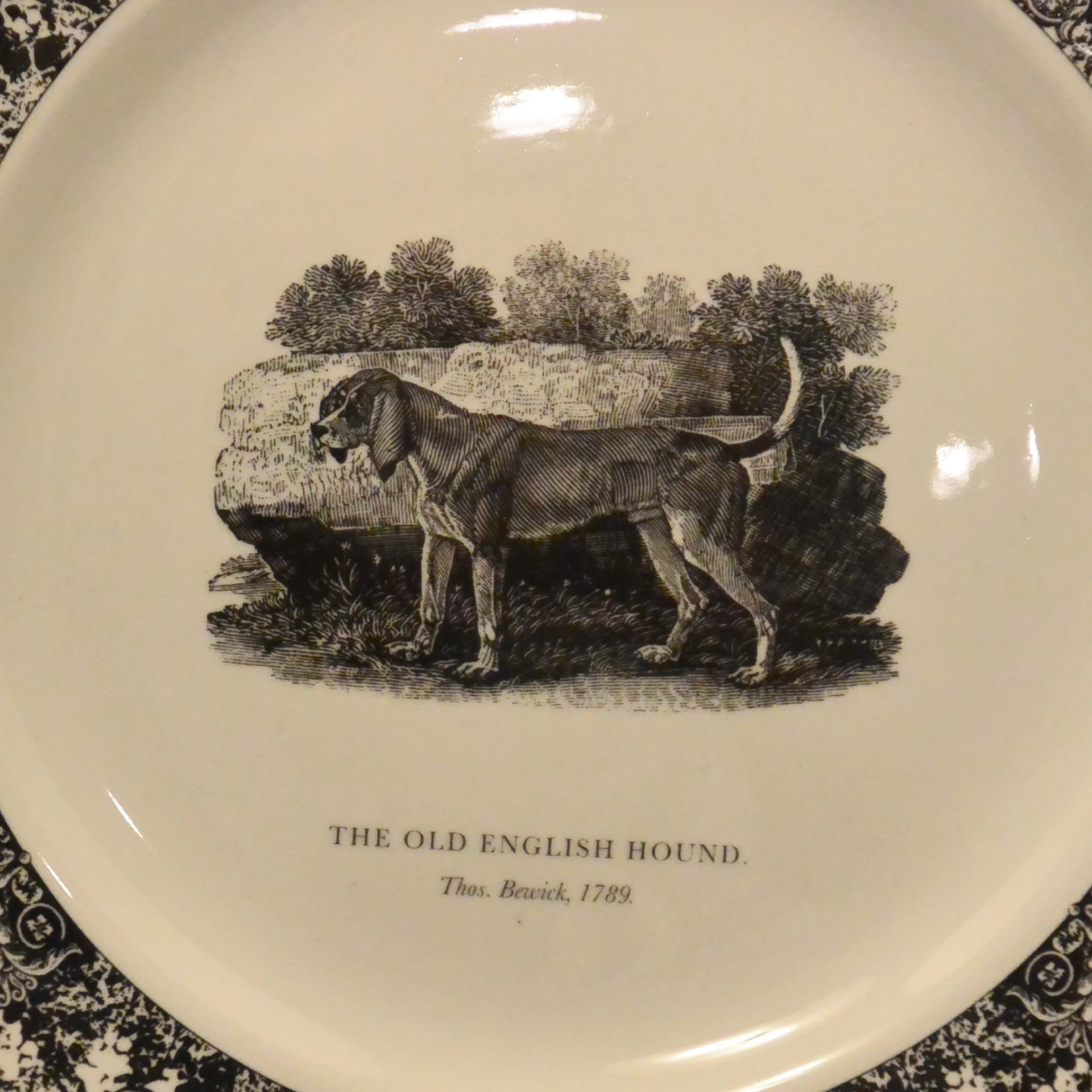 Set of 5 Prinknash Abbey "Bewick's Houndes" Dog Plates - Image 5