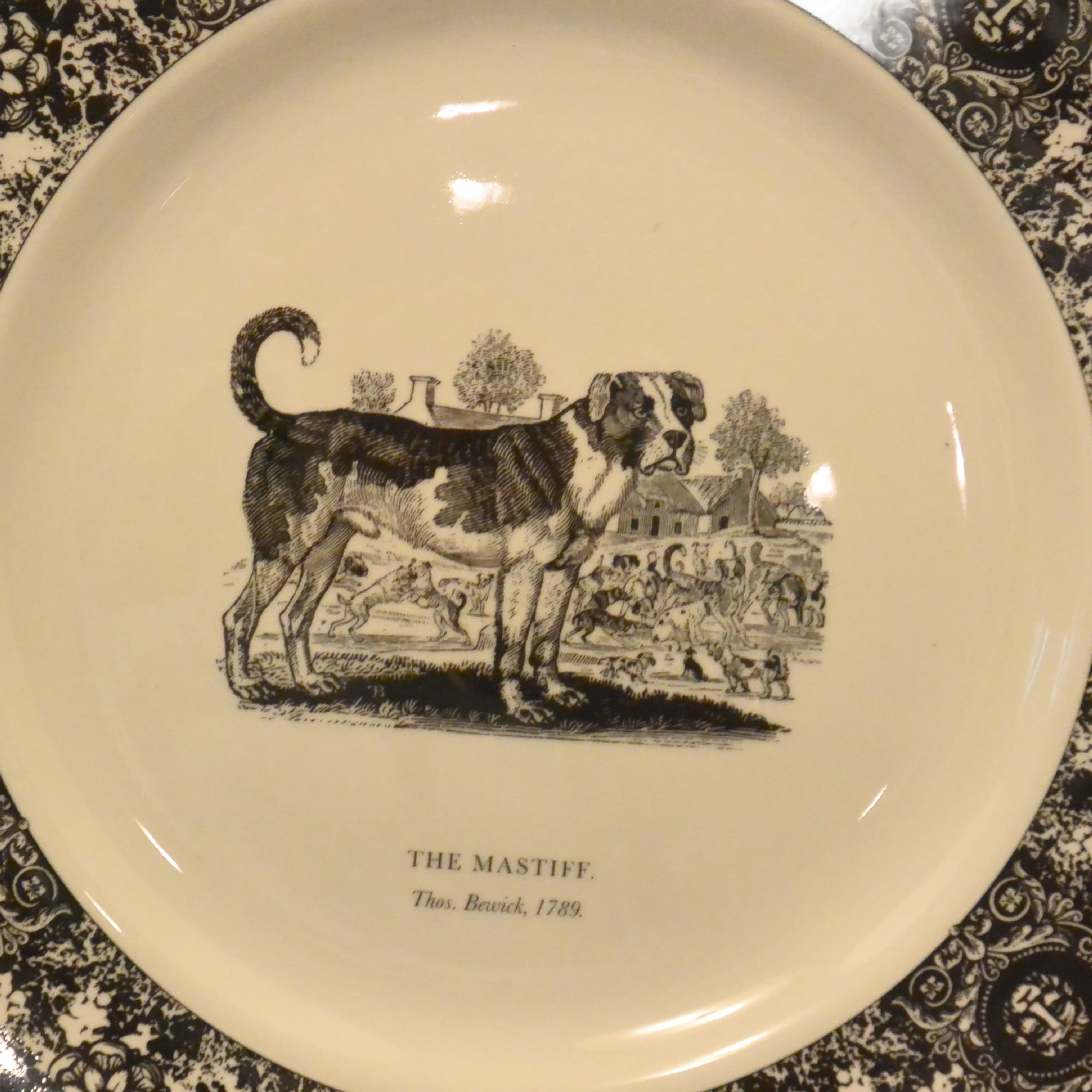 Set of 5 Prinknash Abbey "Bewick's Houndes" Dog Plates - Image 6