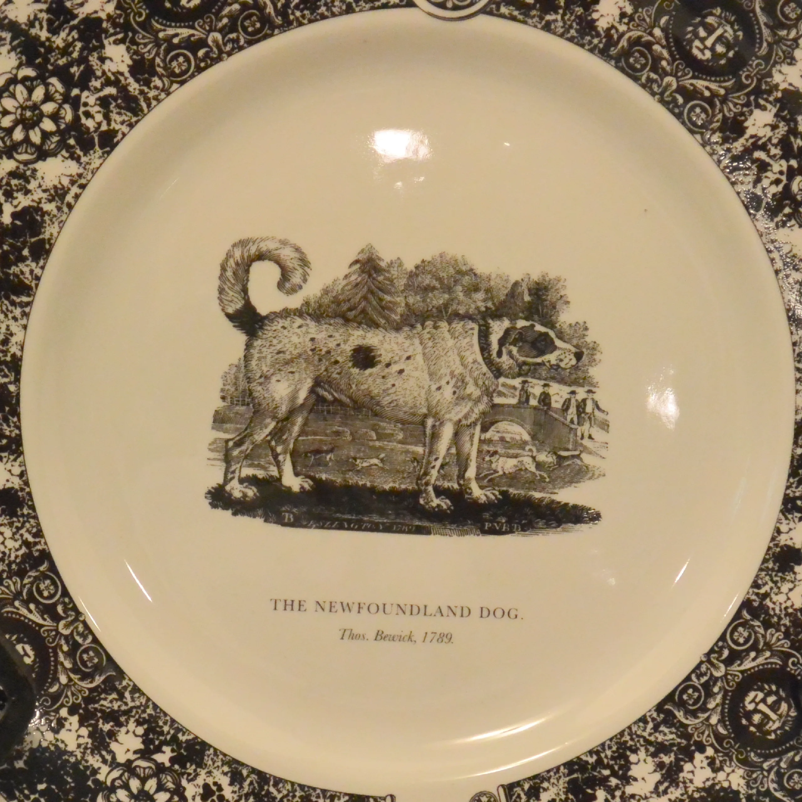 Set of 5 Prinknash Abbey "Bewick's Houndes" Dog Plates - Image 7
