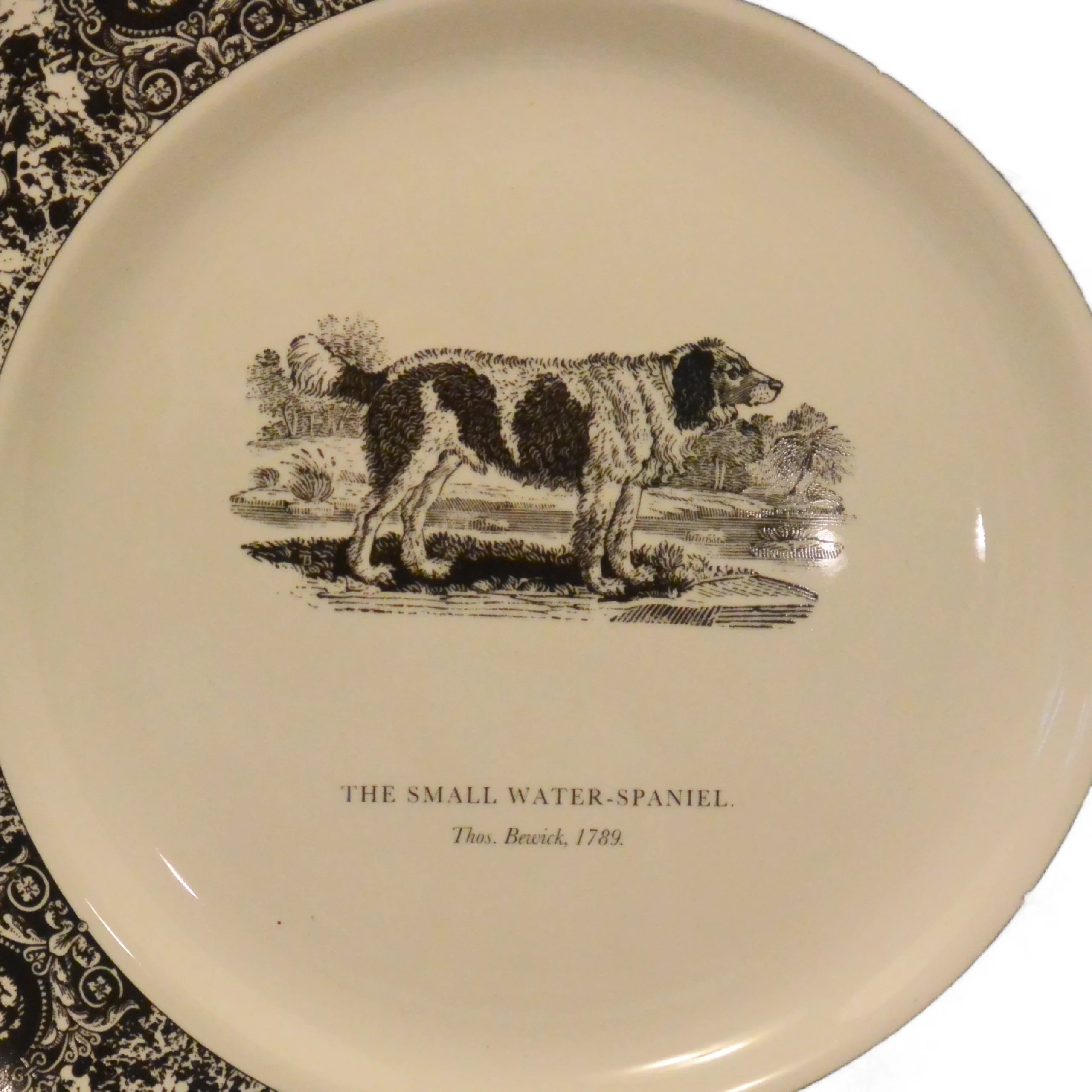Set of 5 Prinknash Abbey "Bewick's Houndes" Dog Plates - Image 8