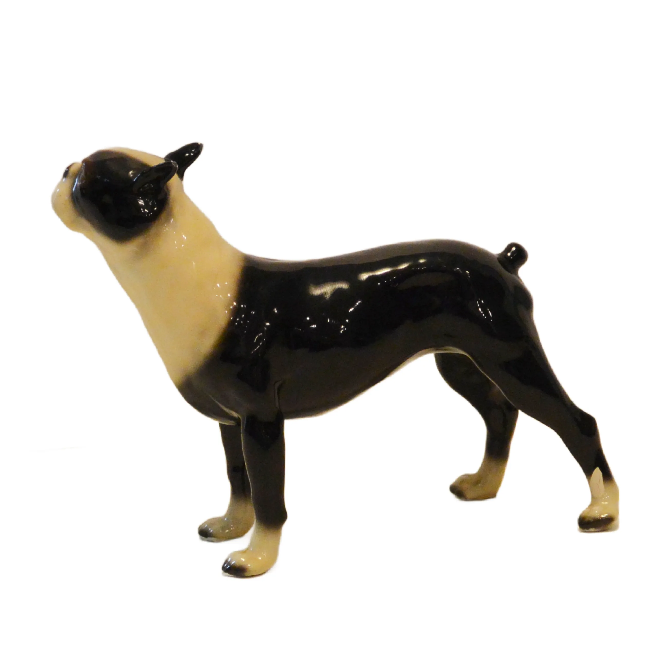 Mortens Studio Standing Boston Terrier Figurine - Image 7