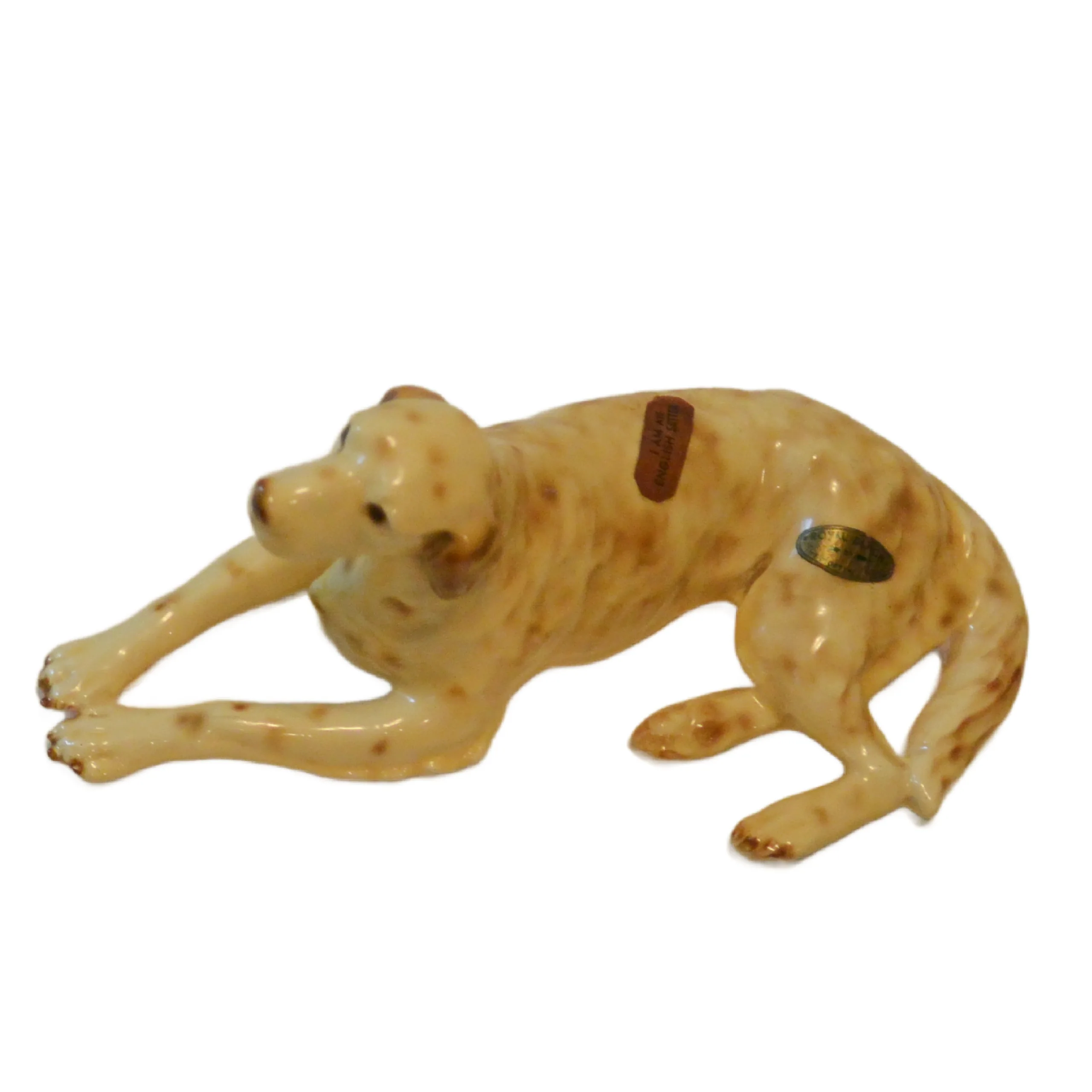 Mortens Studio English Setter Dog - Image 8