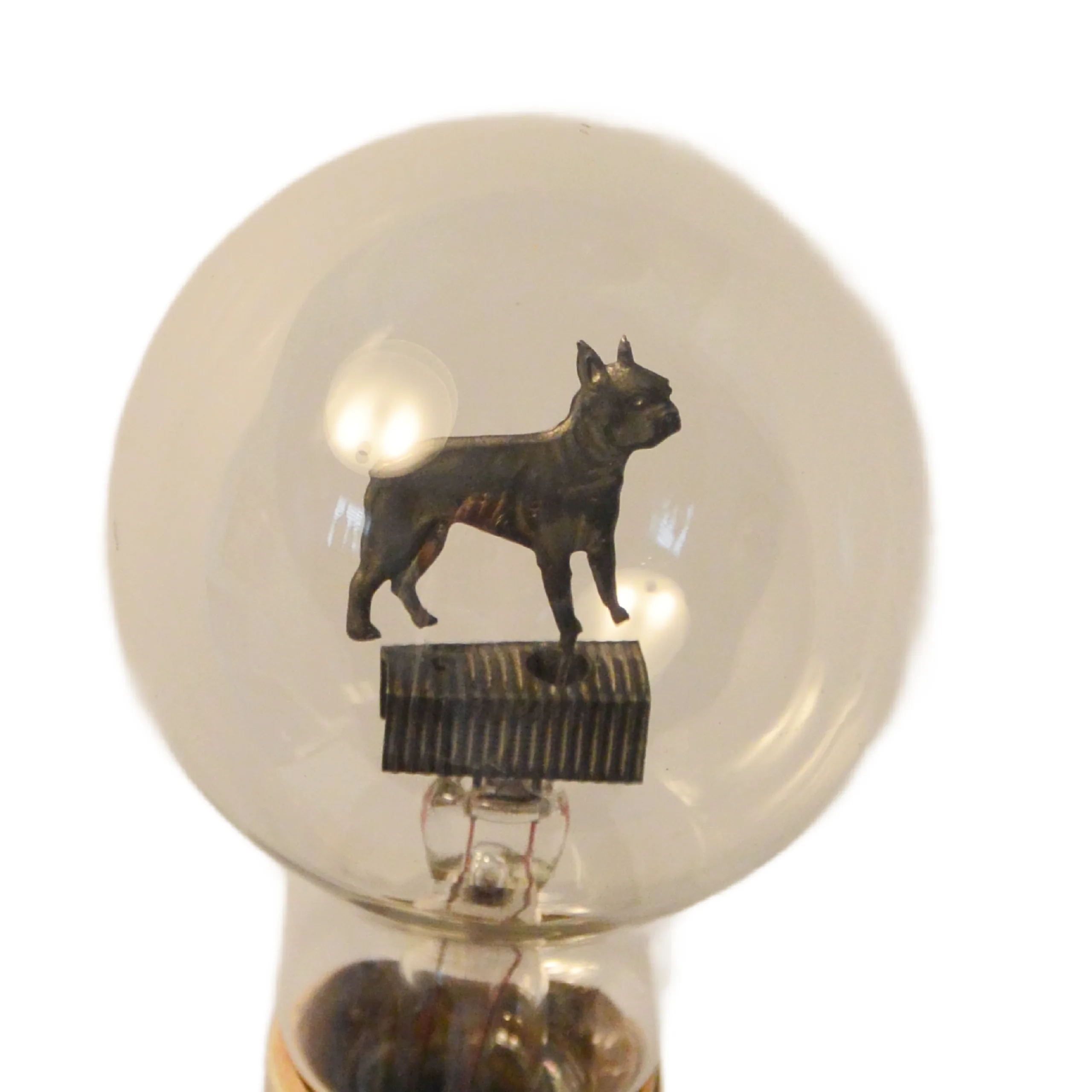 Vintage Aerolux Boston Terrier Dog Bulb