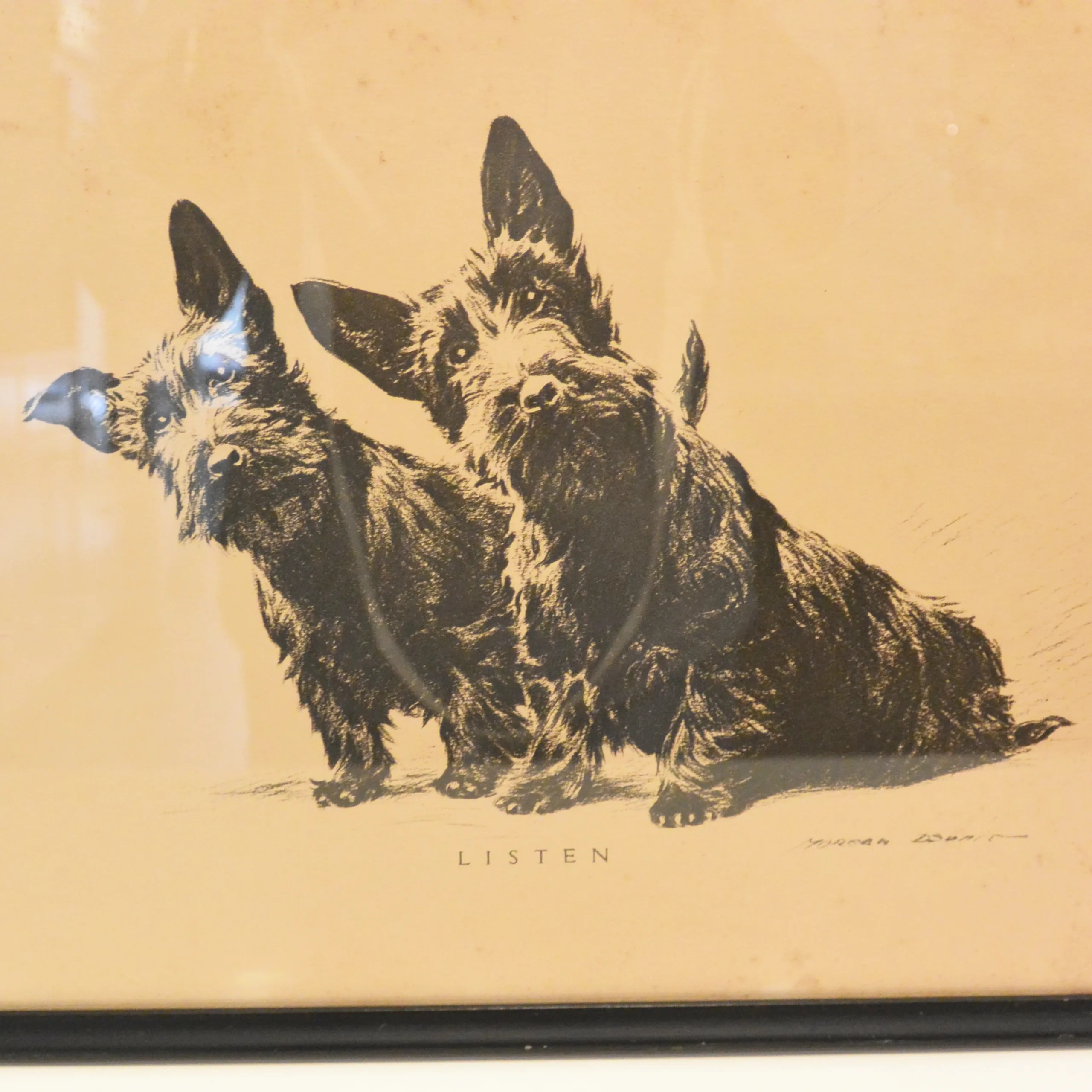 Scottish Terriers  Framed Vintage Print by Morgan Dennis - Image 3