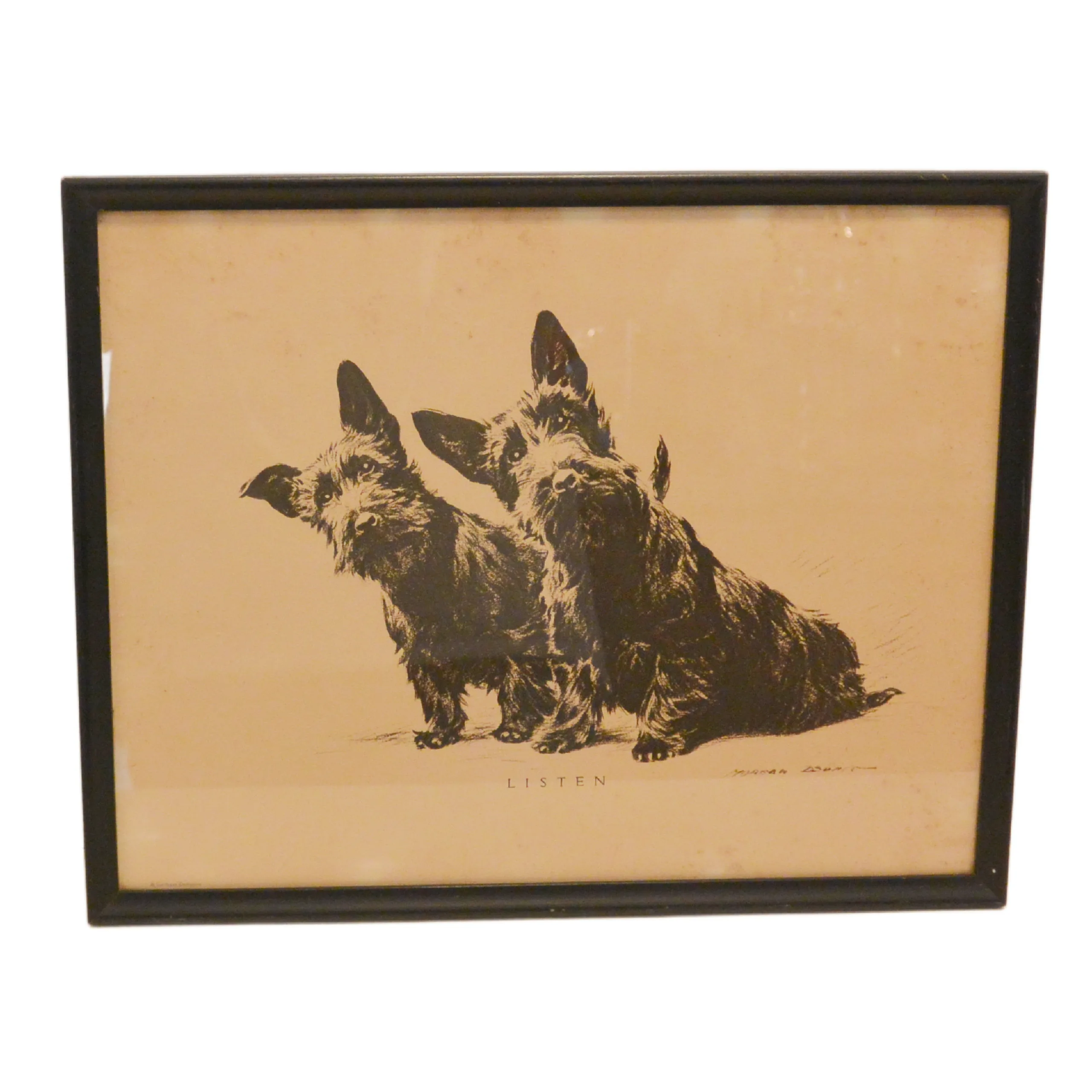 Scottish Terriers  Framed Vintage Print by Morgan Dennis