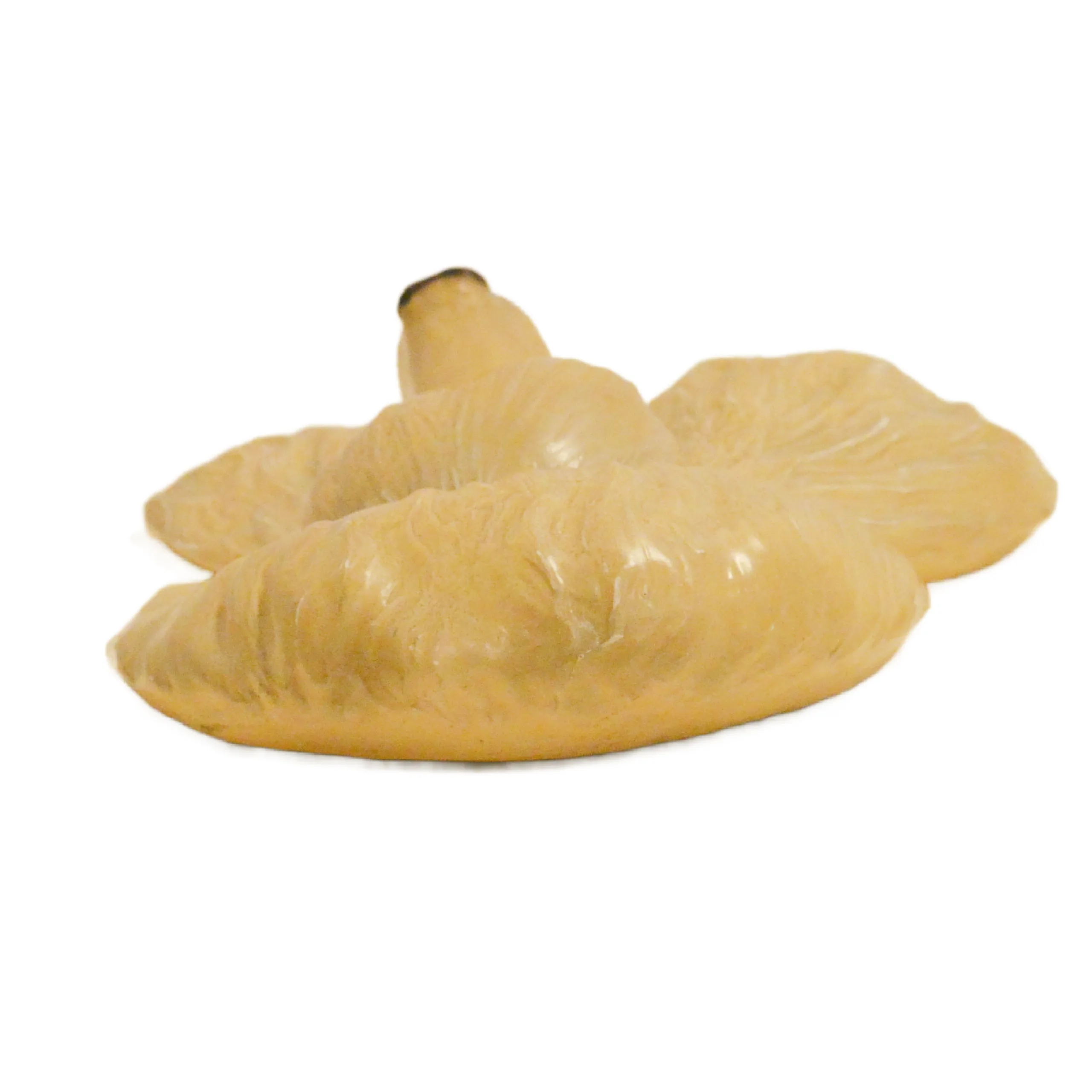 Standard Poodle 3-Dimensional Head Study Plaque Mortens Studio - Image 5