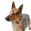 Large Royal Doulton German Shepherd HN 1115 &ndash; Rare 11" "Giant" Scale &ndash; Frederick Daws Design, c. 1940s