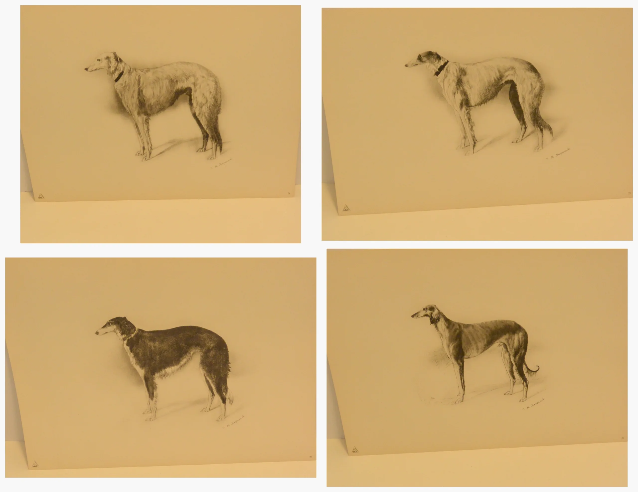 Rare 1934 Limited Edition Borzoi Portfolio: 28 Lithographs, "Echoes of Old Russia" - Image 10