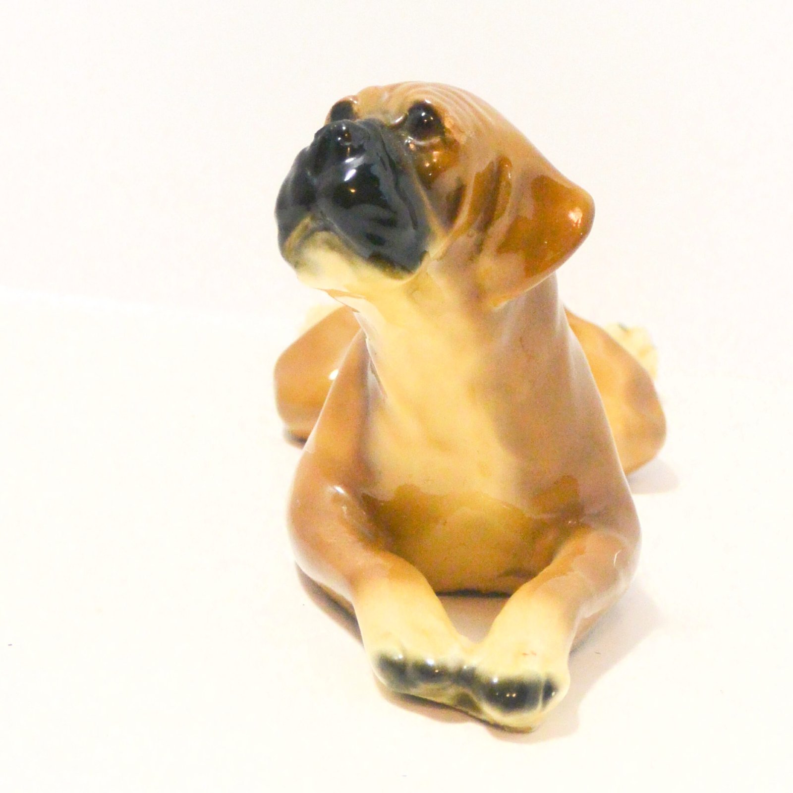 Mortens Studio Reclining Boxer Dog c. 1930's - Image 4