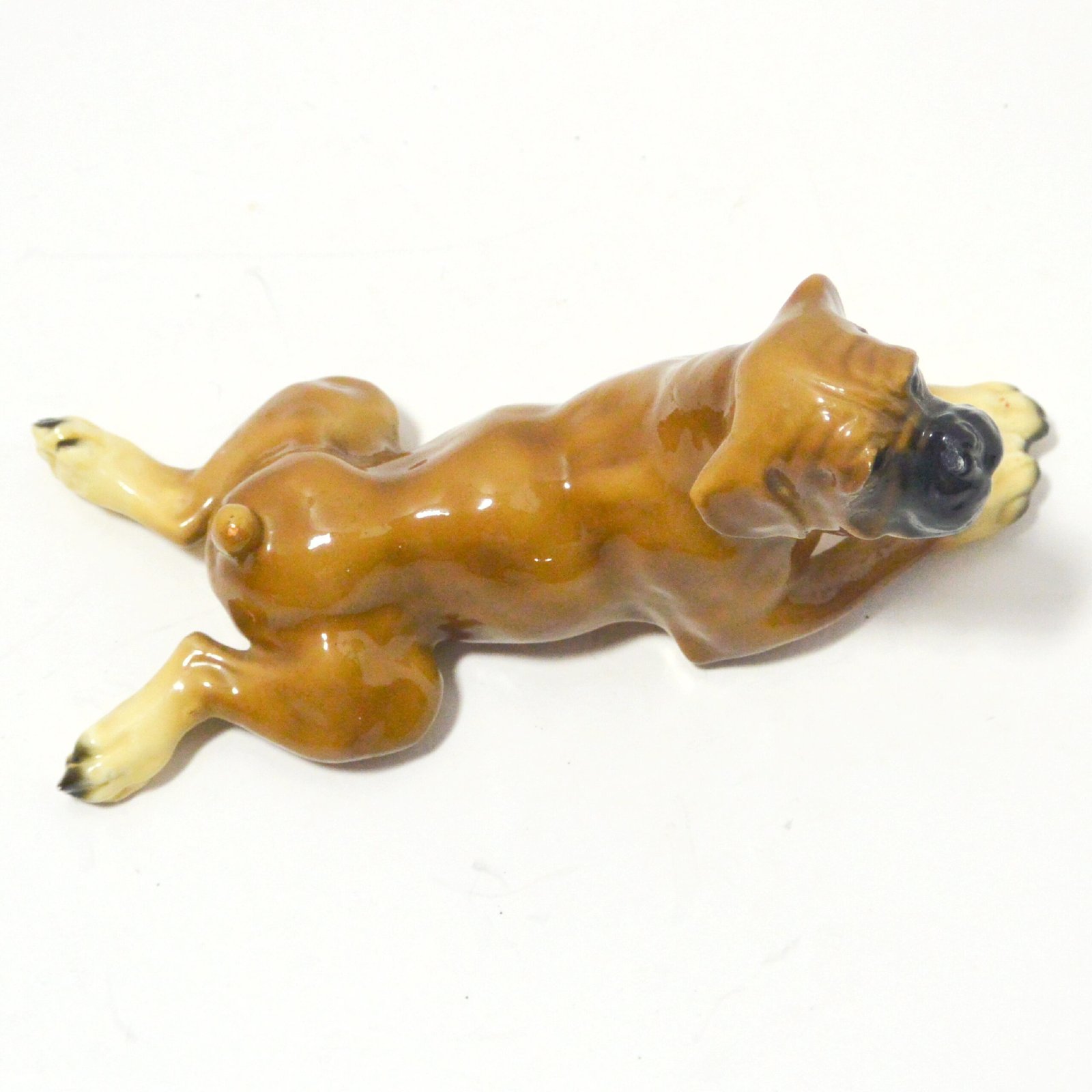 Mortens Studio Reclining Boxer Dog c. 1930's - Image 7