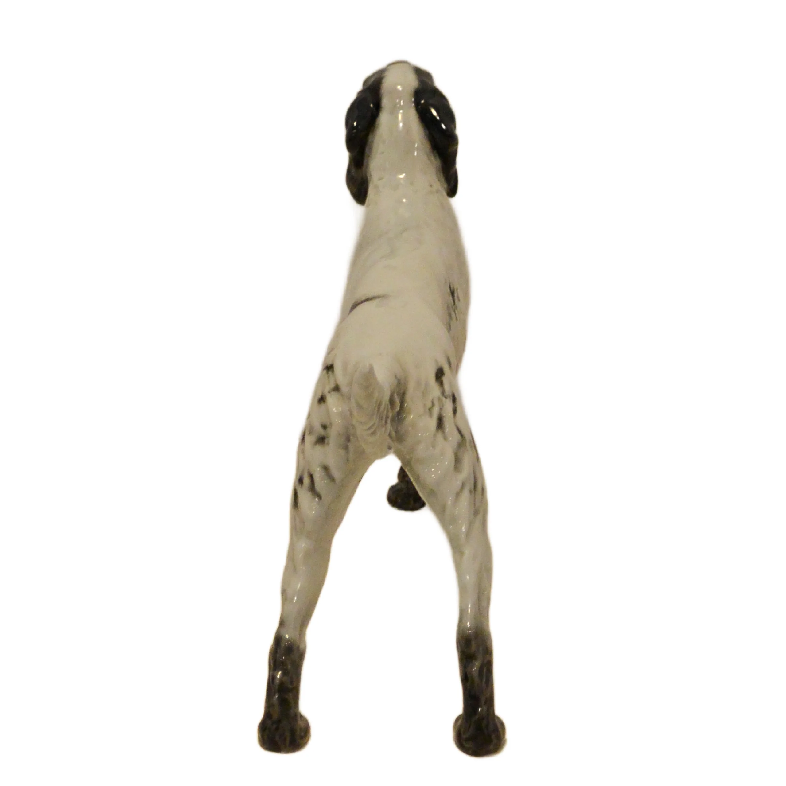 Vintage Rosenthal Germany Porcelain English Setter Dog Figurine – Circa Mid-20th Century - Image 8