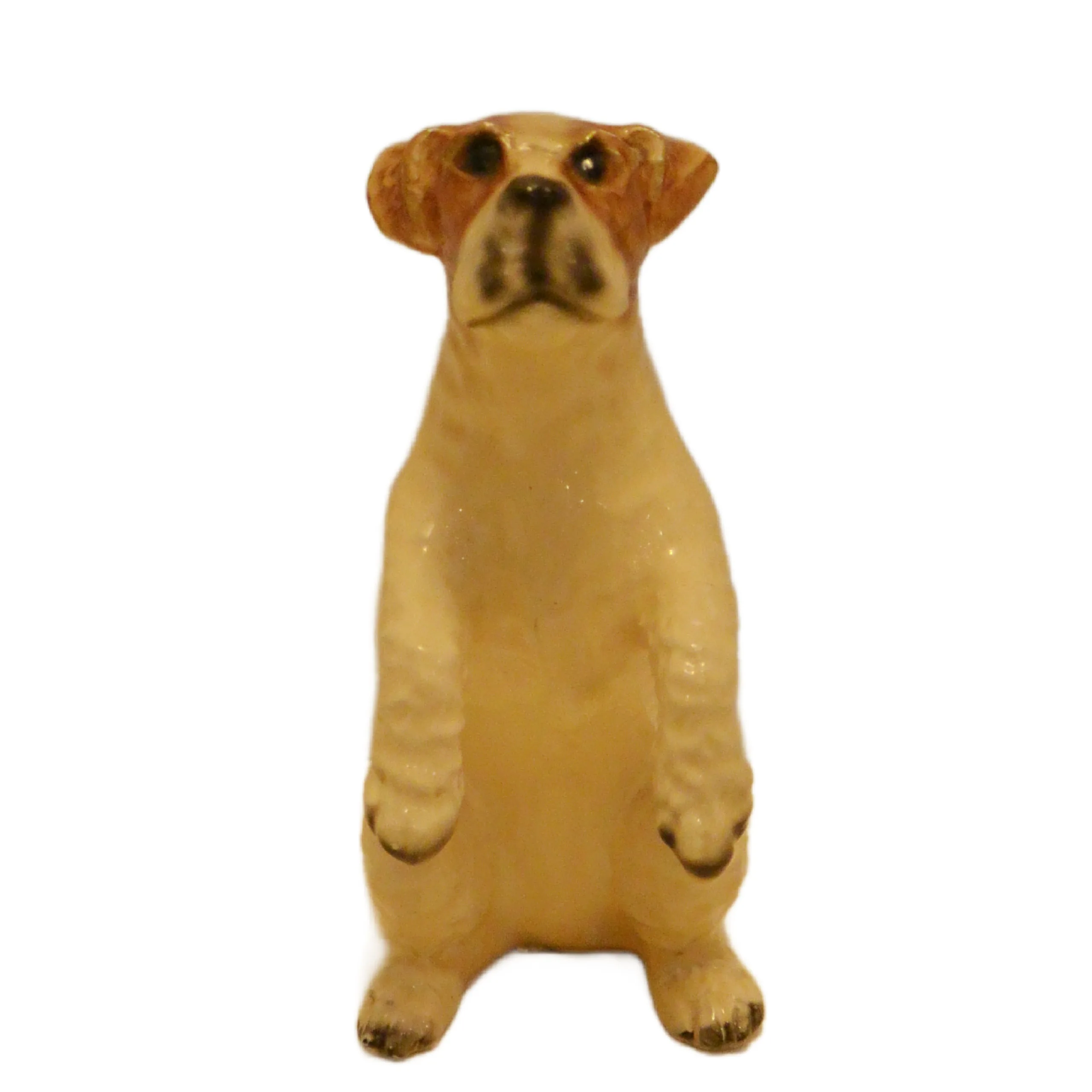 Rare Vintage Mortens Studio Begging Fox Terrier Figurine – Pristine 1930s Early Era - Image 5