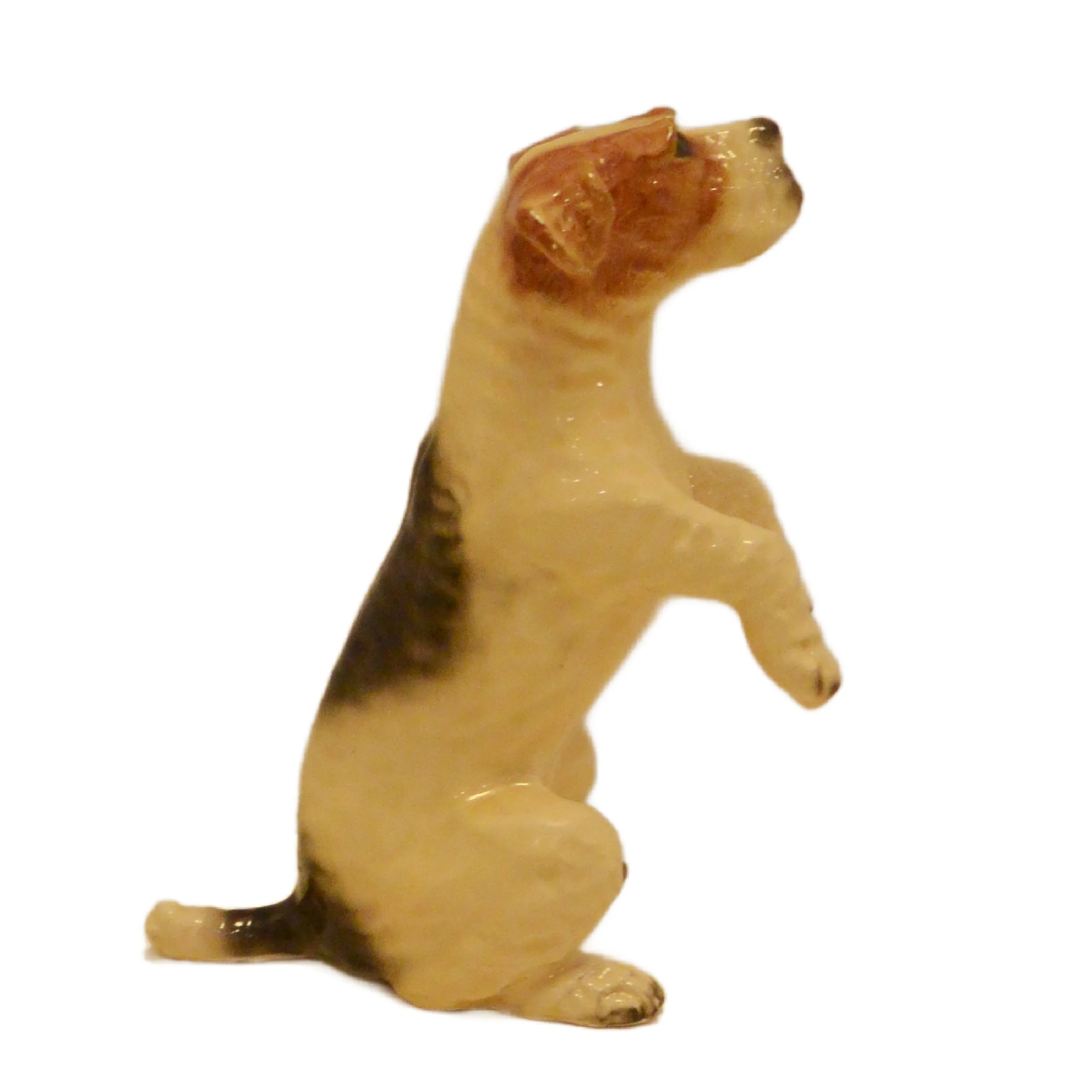 Rare Vintage Mortens Studio Begging Fox Terrier Figurine – Pristine 1930s Early Era - Image 3