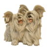 Vintage Cacciapuoti Italy Matte Porcelain Double Maltese Dog Figurine &ndash; Circa 1950s