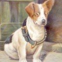 Antique Dog Art-ART-2130