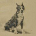 Vintage Boston Terrier Art-ART-2163