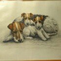 Vintage Fox Terrier Art-ART-2164