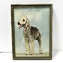 Vintage Bedlington Terrier Art-ART-2166