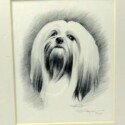 Modern Lhasa Apso Art-ART-2169